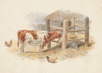The Farmyard
