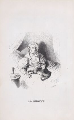 The Female Cat
