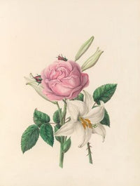 The fête of the flowers Pl.01
