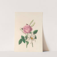 The fête of the flowers Pl.01 by Jane Elizabeth Giraud