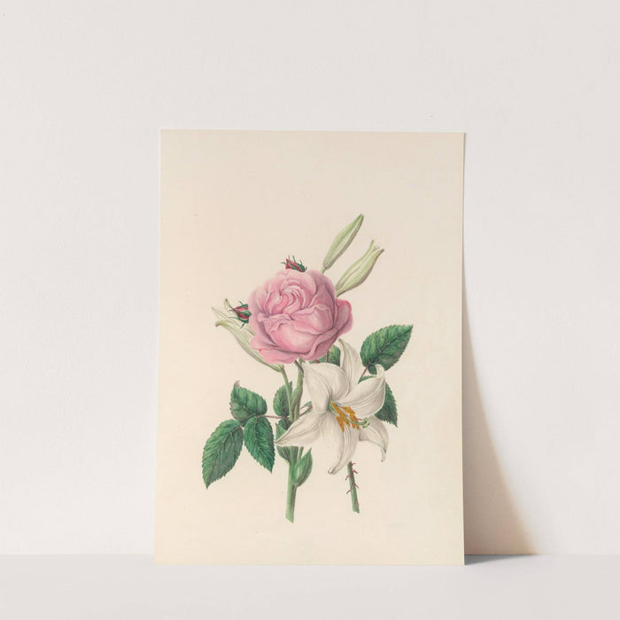 The fête of the flowers Pl.01 by Jane Elizabeth Giraud