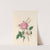 The fête of the flowers Pl.01 by Jane Elizabeth Giraud