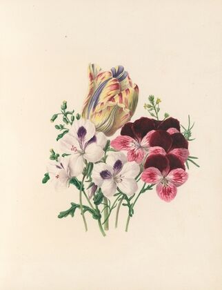 The fête of the flowers Pl.03