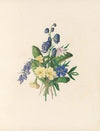 The fête of the flowers Pl.06