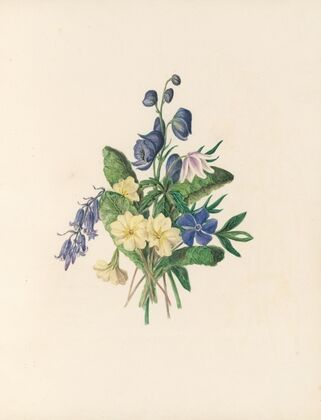 The fête of the flowers Pl.06
