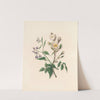 The fête of the flowers Pl.11 by Jane Elizabeth Giraud