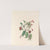 The fête of the flowers Pl.12 by Jane Elizabeth Giraud