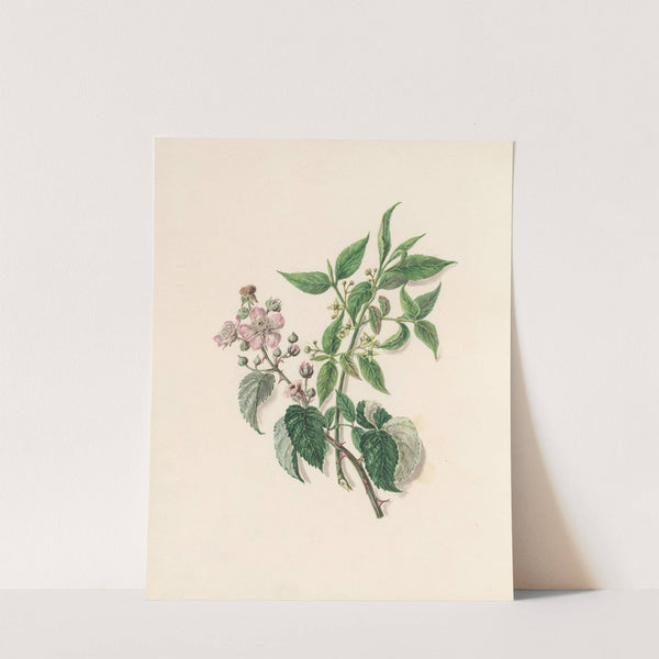 The fête of the flowers Pl.13 by Jane Elizabeth Giraud