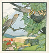 Komische Käuze Pl.12