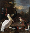 The Floating Feather (c. 1680)