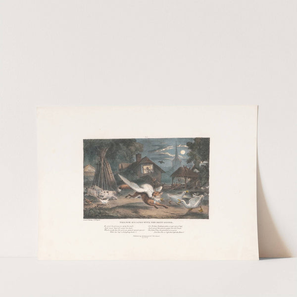 The Fox Escapes with Best Goose by Thomas Mann Baynes
