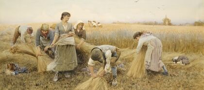 The Golden Grain