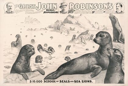 The great John Robinson’s 4 ring circus…$10,000 school of seals and sea lions (1900)