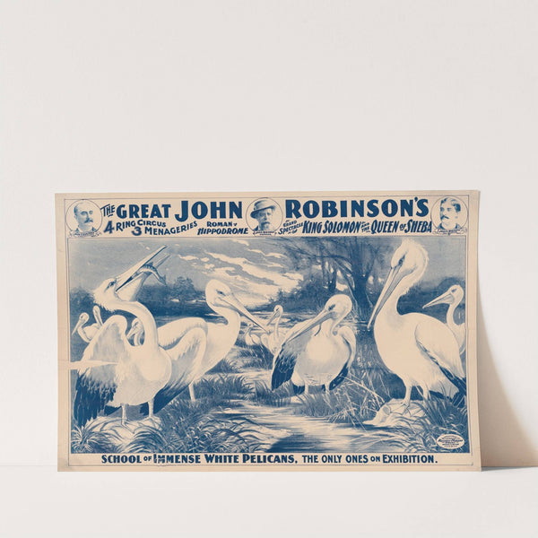 The great John Robinson&#8217;s 4 ring circus&#8230;School of immense white pelicans, the only ones on exhibition (1900) by Russell, Morgan &amp; Co.