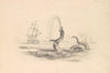 The Great Sea Serpent
