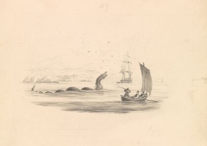 The Great Sea Serpent