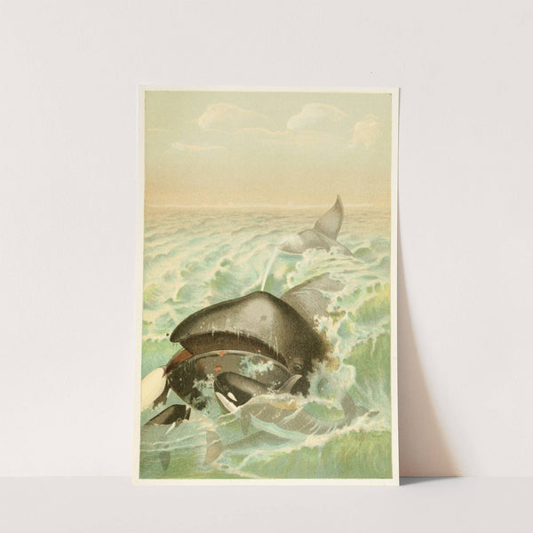 The Greenland Whale by Anonymous