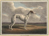 The Greyhound (1812)