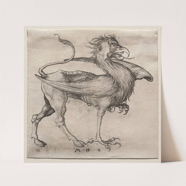 The Griffin (c. 1480–90) by Martin Schongauer