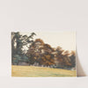 The Grounds at Castle Howard by George Howard, 9th Earl Of Carlisle