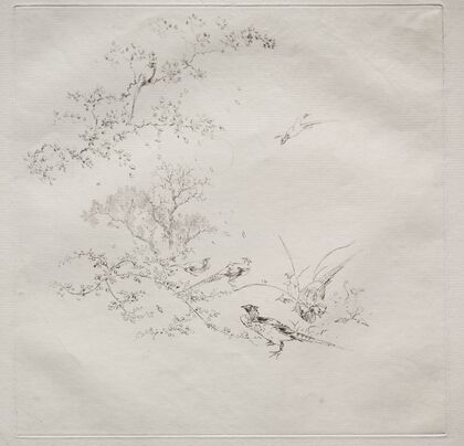 The Hare (after A. de Balleroy)