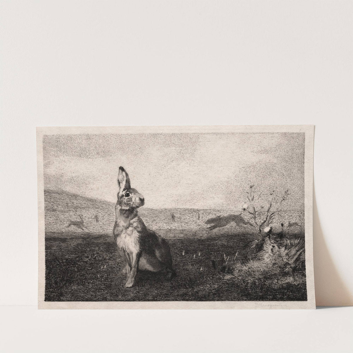The Hare (after A. de Balleroy) (1865) by Félix Bracquemond