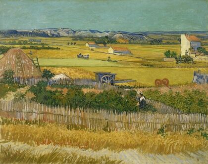 The harvest