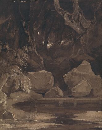 The Haunted Wood
