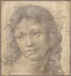 The Head of a Young Boy Crowned with Laurel
