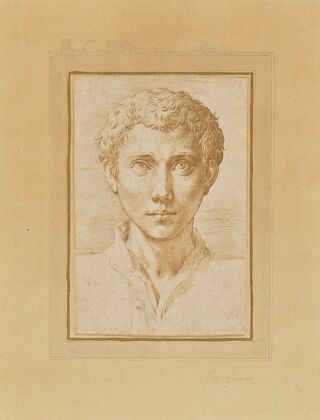 The Head of a Young Man