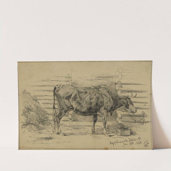 The headquarter cow (1864) by Edwin Forbes