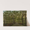 The Herepad in the Haagse Bos by Paulus Constantijn la Fargue
