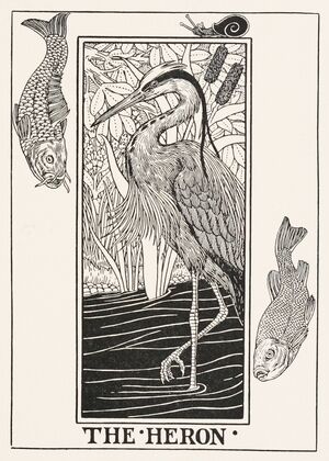 The Heron