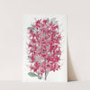 The Highclere Scarlet Azalea by Sydenham Edwards