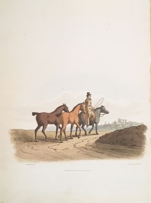 The horse dealer