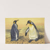 The King Penguin by Thomas Waterman Wood
