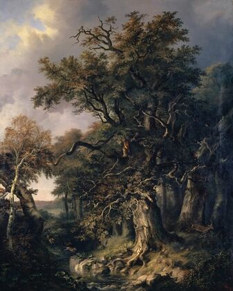 The King’s Oak
