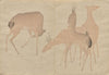 The Kōrin Picture Book Pl.06 (1800s)