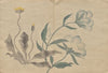 The Kōrin Picture Book Pl.22 (1800s)
