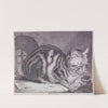 The Large Cat (1628–1658) by Cornelis de Visscher