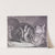 The Large Cat (1628–1658) by Cornelis de Visscher
