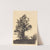The Large Tree (1874) by Wilhelm Leibl