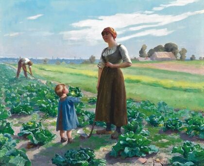 The Lettuce Patch