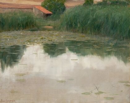 The Lily Pond