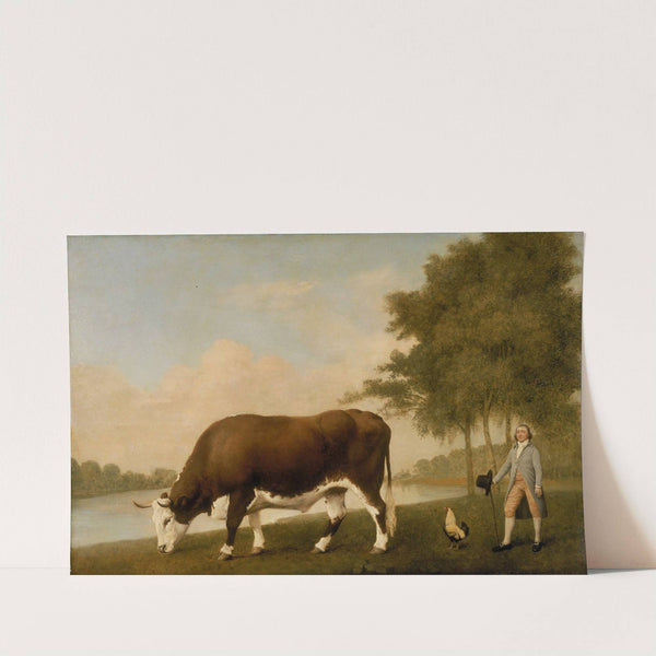 The Lincolnshire Ox (1790) by George Stubbs