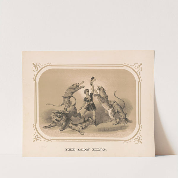 The lion king (1872) by Gibson &amp; Co. Lith