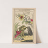 The little frog and pretty mouse Pl.4 by John B. Keller