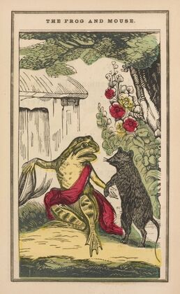 The little frog and pretty mouse Pl.6
