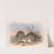 The mammals of Australia Pl.010 by John Gould