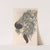 The mammals of Australia Pl.022 by John Gould